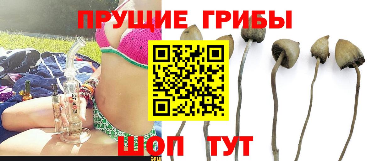 Псилоцибиновые грибы ЛСД Железноводск